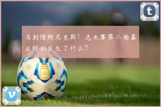 马刺惜败尼克斯！总决赛第二场最后时刻发生了什么？