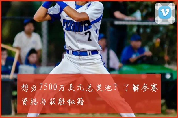 想分7500万美元总奖池？了解参赛资格与获胜秘籍